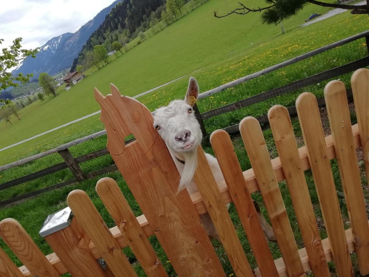 Vorderkasbichlhof Villa Saalfelden Esterno foto